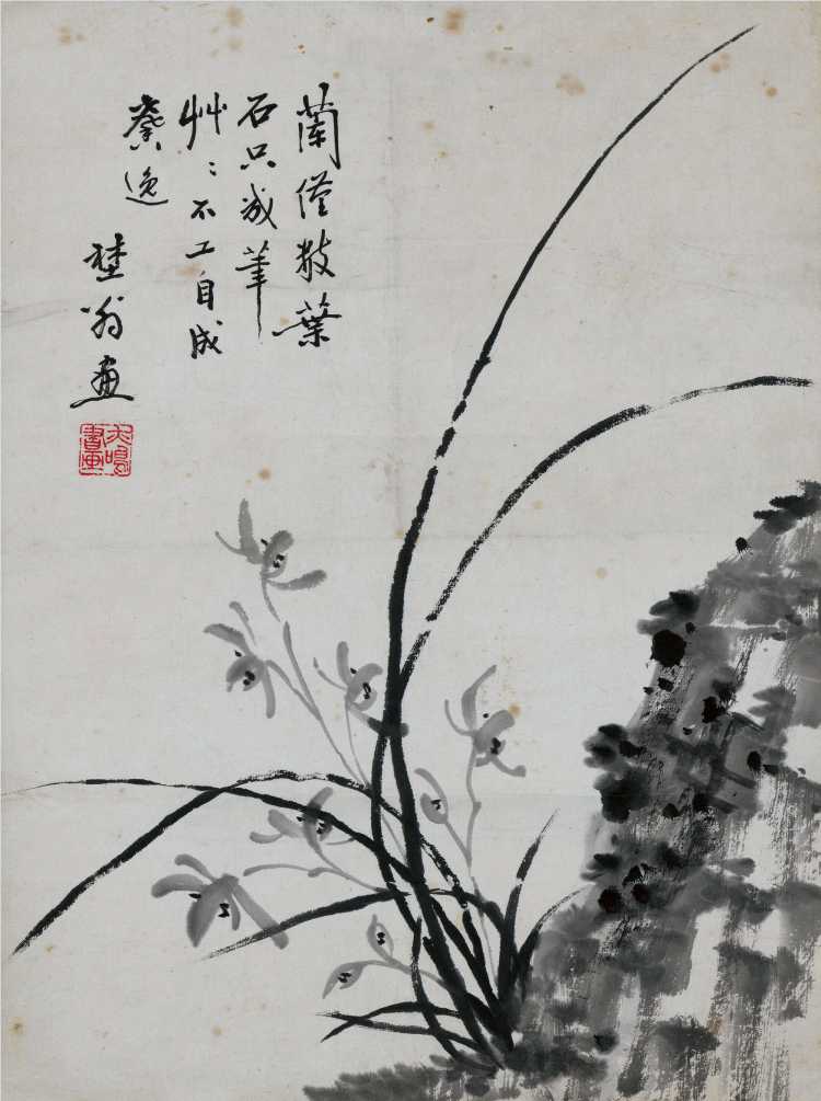 兰花图