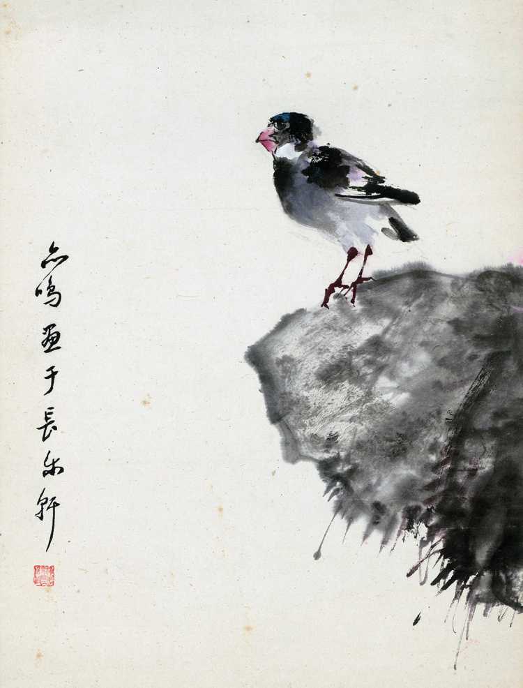 小鸟图